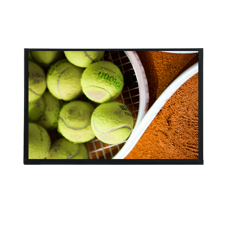 8.0 inch TFT display/ Resolution 1280*720/HD TFT display/LVDS interface/IPS